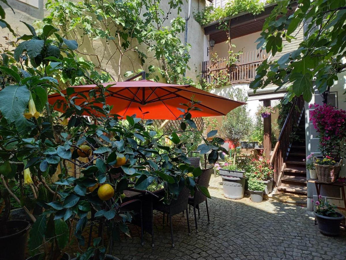 Gaestehaus Auf Der Kunstmeile Krems an der Donau Eksteriør billede